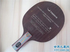 乒乓球拍什么牌子好?