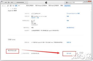 苹果账单查询消费明细