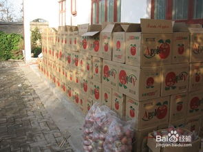 农村干啥最赚钱?农村适合做什么生意?