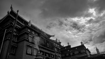 韩剧南行结局啥意思