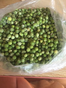 土豆发牙可以吃吗