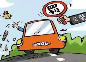 交通违章罚款滞纳金怎么算