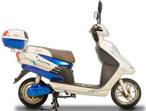 什么牌子的电动车好