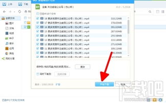 百度种子是什么