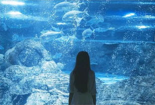 求蓝色大海的传说百度云，谢谢