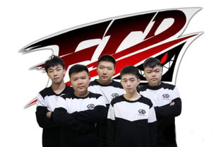 DotA FTD战队成员