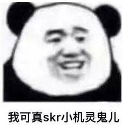 skr？啥意思