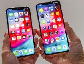 苹果降价最新消息,苹果降价了吗最新信息