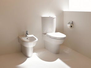 马桶塞怎么通马桶的水