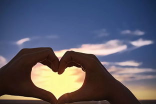 正规情感挽回公司排名,山东情感挽回公司