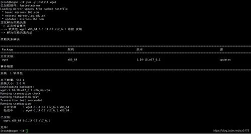 wget 是什么？有什么功能？？