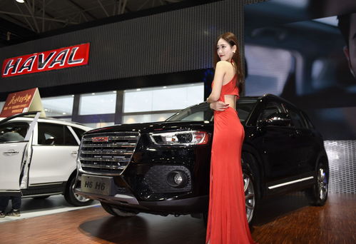 贵阳车展什么内容？