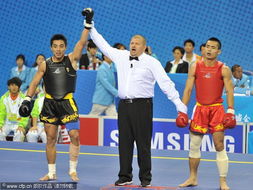 出人意料的获胜者称为？是什么？（十二生肖其中一个）