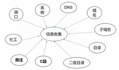 网络攻击与防御,网络攻击和防御分别包括哪些内容