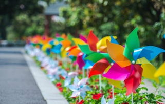 肇庆市风车网络科技有限公司怎么样？