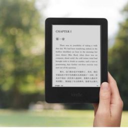 kindle支持哪些格式?