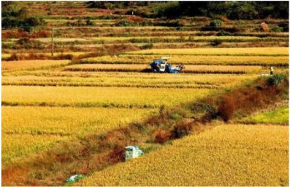 一平方米和一亩地的换算