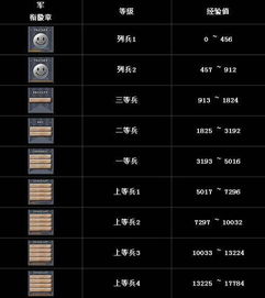 穿越火线最高等级是多少？