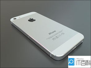 苹果手机老是显示iphone已停用怎么办