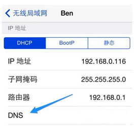 DNS什么意思，代表什么呀