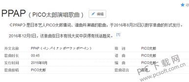 ppap是什么意思？