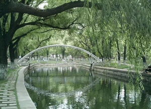 龙招网二批录取时间