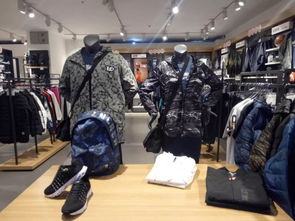 花花公子官网怎么进