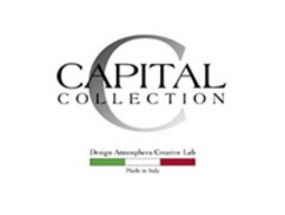 “capital”是什么意思？