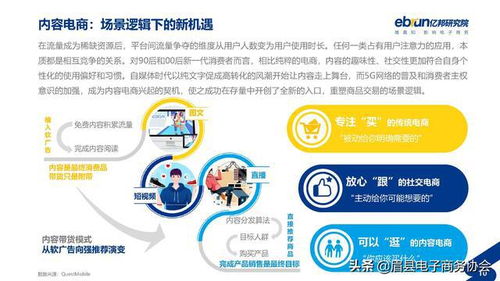 垂直电商是什么意思?