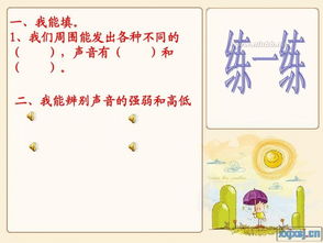 1听音乐,1听是多少瓶