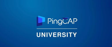 pingcap 估值,pingcap cto