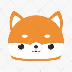 介绍一种小动物