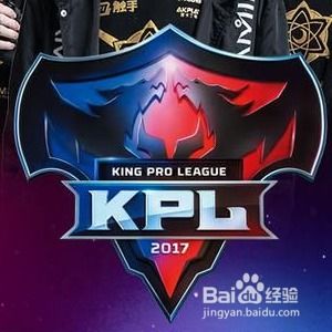 王者荣耀职业联赛视频直播