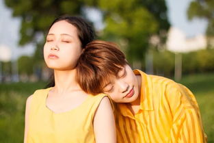 像极了爱情歌曲,像极了爱情 文章