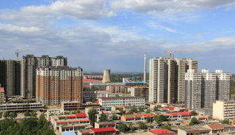 新乐视发展前景如何？